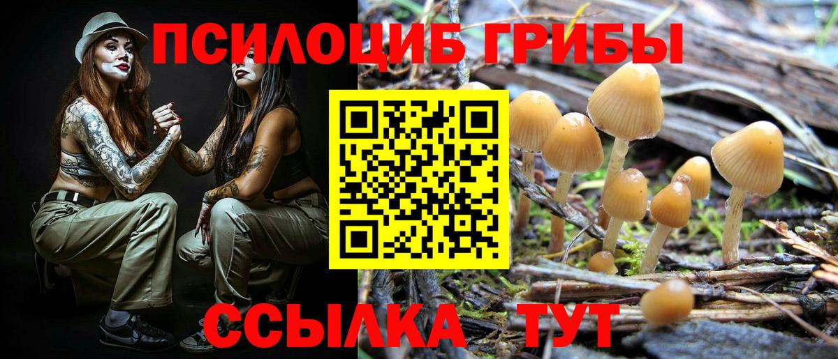 Галлюциногенные грибы мицелий Владимир