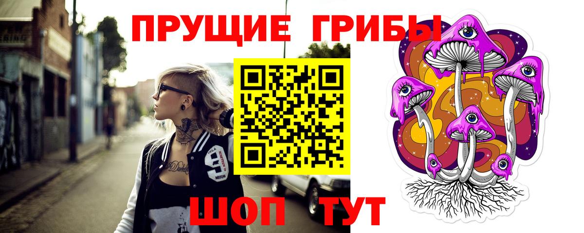 Псилоцибиновые грибы MAGIC MUSHROOMS  Вход с VPN  Владимир 